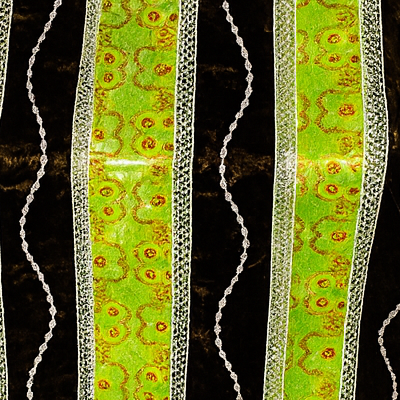 Frafrani1_cropped_400x400